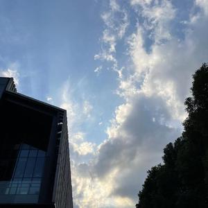 修炼爱情（无技巧翻唱）