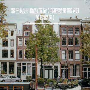 等冬过去 就放下你（我好羡慕雪花好羡慕晚风）