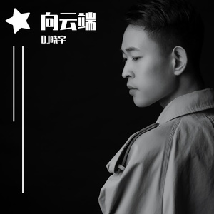 小霞-向云端（DJ晓宇 remix）