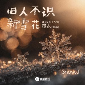 旧人不识新雪花