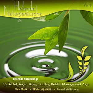 RegenwaldatmosphÃ¤re am Morgen Teil 1 (Den Tag frÃ¶hlich und erholt beginnen) [Hilft bei Tinnitus AngstzustÃ¤nden Schmerz Schlaf und Stress]