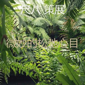 抚慰的松弛回忆