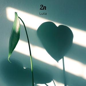 2n