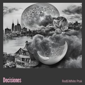 Decisiones