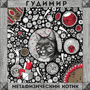 Метафизический котик