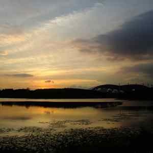 A drunken dream in the world of mortals