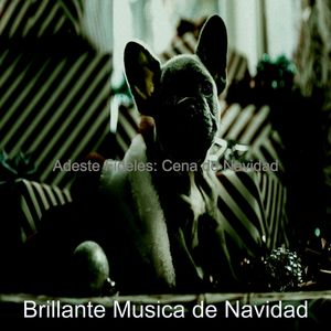Adornen los Salones - Compras de Navidad