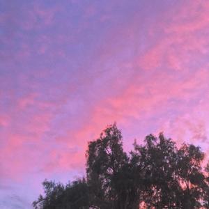 Error (feat. Vxlious)