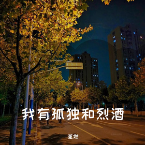 我有孤独和烈酒