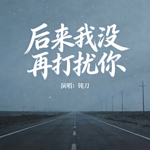 后来我没再打扰你