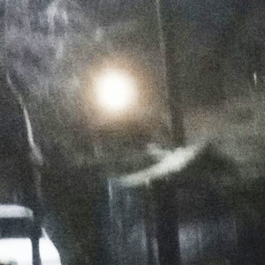 Деревья горят