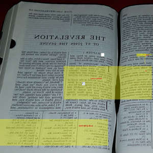 Read Up The Bible