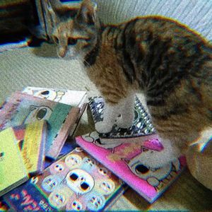 CAT (LeoMusic Remix)