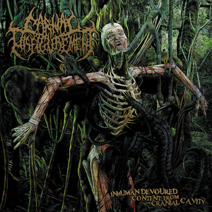 The Art of Sadistic Body Examination