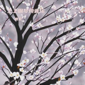 梅花泪情深钢琴纯音乐 (钢琴纯音乐)