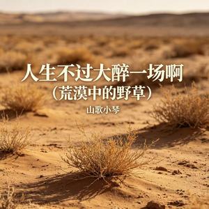 人生不过大醉一场啊（荒漠中的野草）