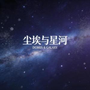 尘埃与星河