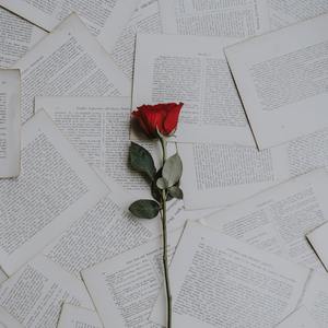 欢喜冤家（Prod by K.Ray）