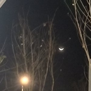 月光下的冲动