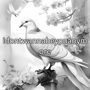 Idontwannabeyouanymore