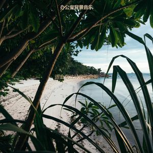 读丰富的轻音乐