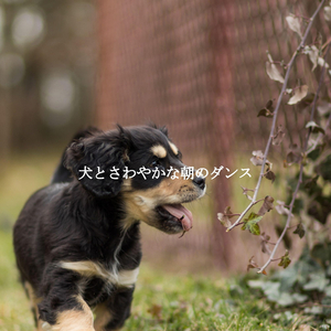 Tasteful Backdrops for Feel Good February