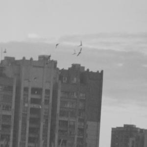 悲剧的开始是相识再相知