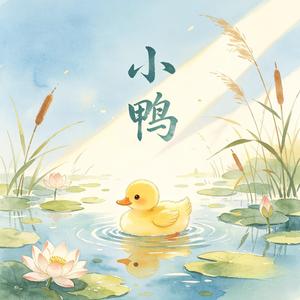 小鸭