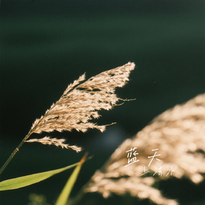 蓝天