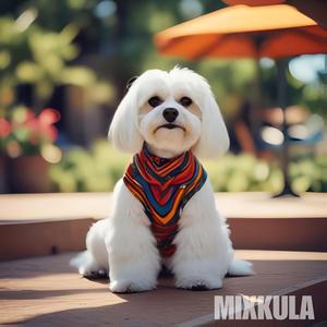 Rain (Naija Version)