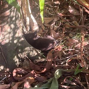 ♥*♡∞:｡.｡8|｡.｡:∞♡*♥