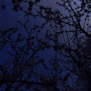 世界末日在昨天