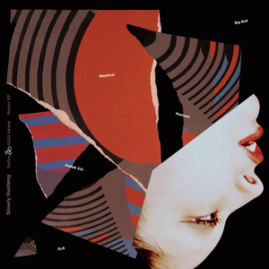 Direxion (Kodiak Kid Remix)