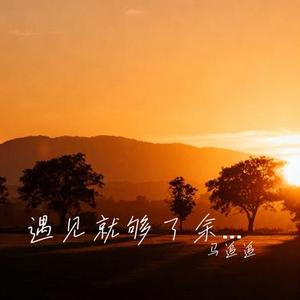 遇见就够了余生就算了 (Cover 王佳音)