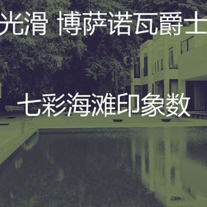 诗意的海滩节奏