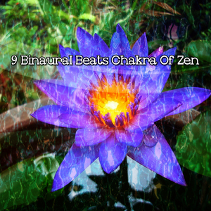 双耳节拍脑电波等时音脑电波夹带；双耳节拍