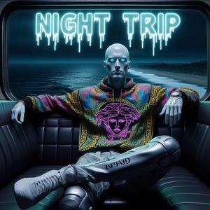 Night Trip