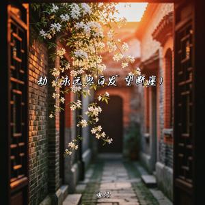 劫(永远思白发 望断崖)