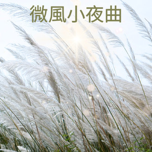 微风的小夜曲