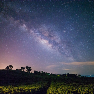 直到我遇见你（婚礼现场版）