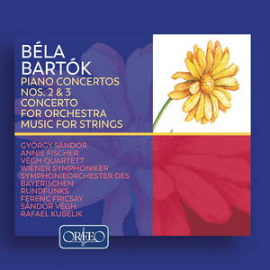 Concerto for Orchestra, Sz. 116: III. Elegia. Andante non troppo