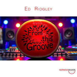 From This Groove (Original Mix)