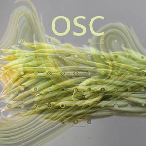 OSC