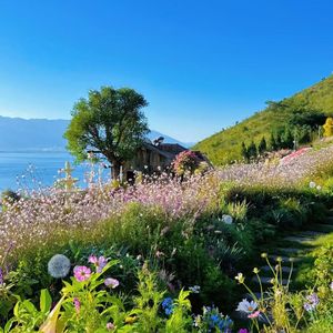 对视之后，我输了所有