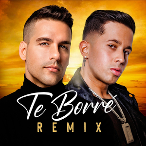 Te Borré (Mix D' La Ghetto)