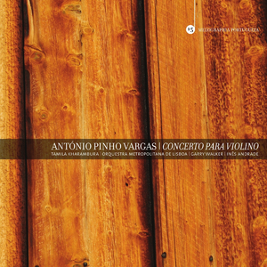 Concerto for Violin and Orchestra: Andante, sempre flessibile, un poco rubato