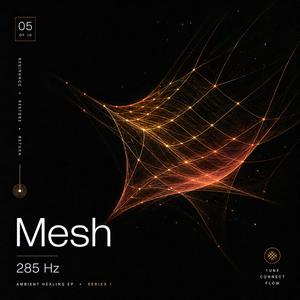 Mesh