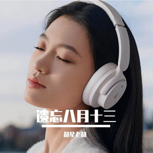 遗忘八月十三