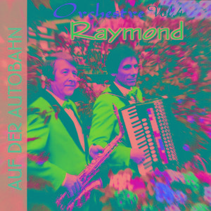 Aber Dich Gibt S Nur Einmal Fur Mich (Il N'Y A Que Toi Pour Moi)