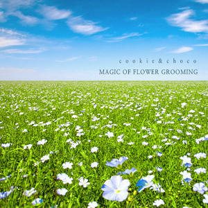 지금은 꽃이 핀다